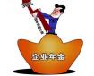 “企業年金”是什么